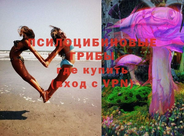 дживик Армянск
