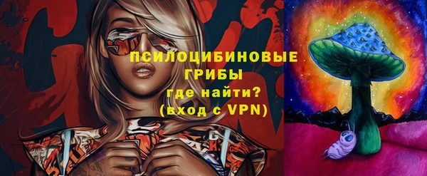 дживик Армянск