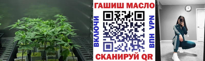 ТГК гашишное масло  Грязовец 
