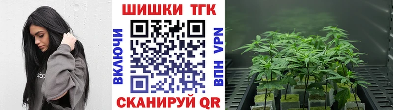 закладки  Грязовец  Бошки марихуана конопля 